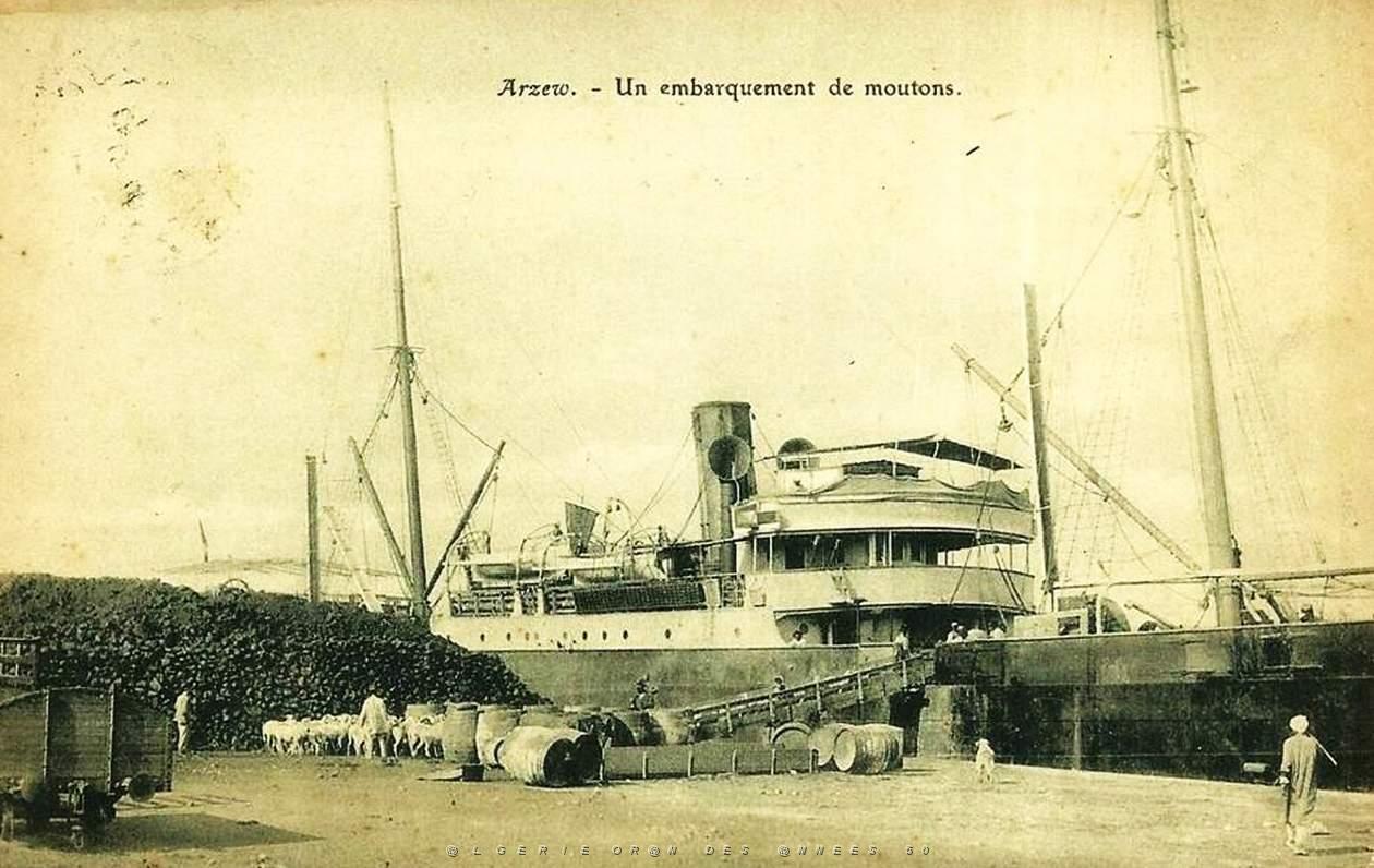 Oran- SDV- 6049.jpg